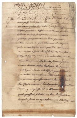 The Contested Freedom of Sisters Marie Louise and Charlotte