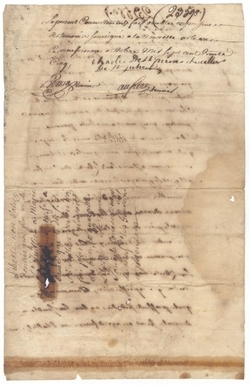 The Contested Freedom of Sisters Marie Charlotte and Louise